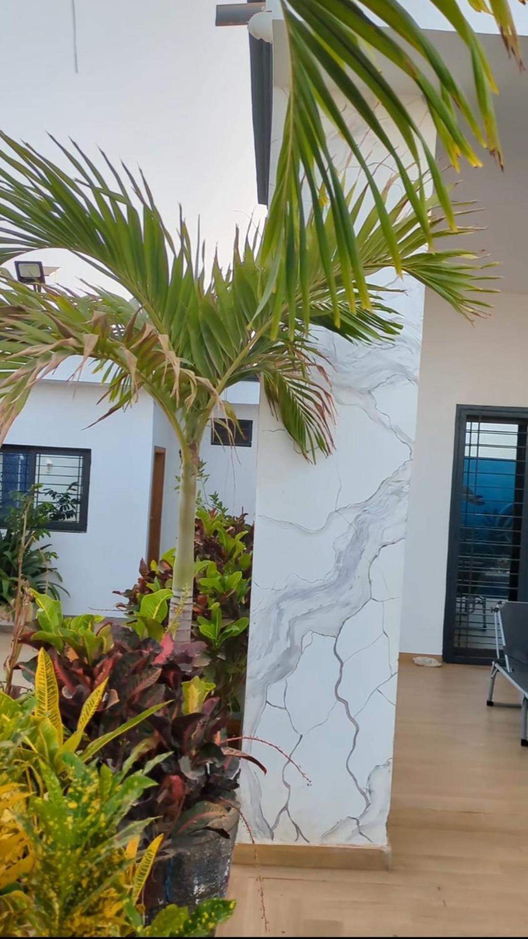 Villa Hawa, Decor Unique & Piscine 索蒙 外观 照片