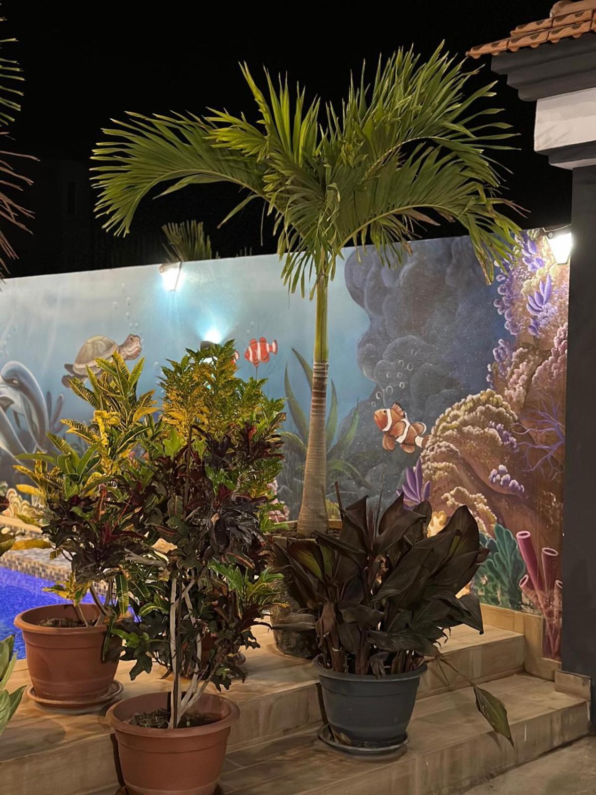 Villa Hawa, Decor Unique & Piscine 索蒙 外观 照片