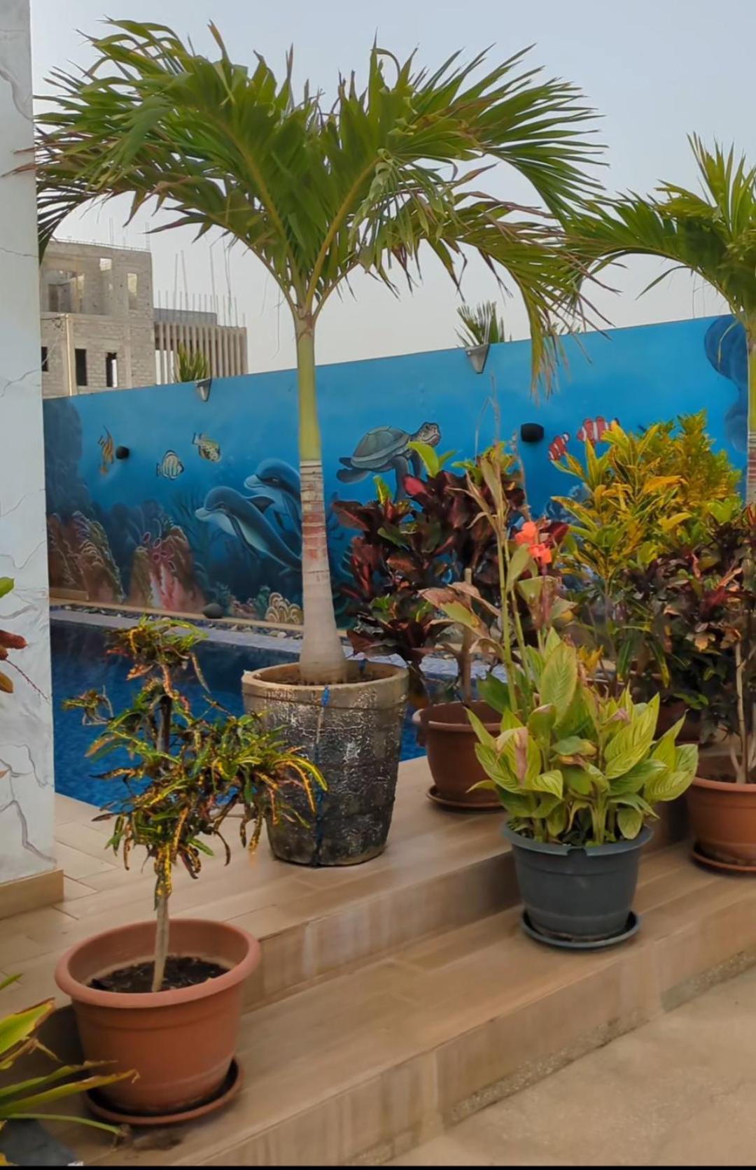 Villa Hawa, Decor Unique & Piscine 索蒙 外观 照片